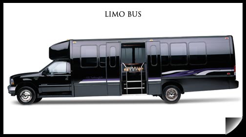 San Diego Limo Bus 20 Passenger Party Bus Rental San Diego Limo Service Rental Lowest Rates