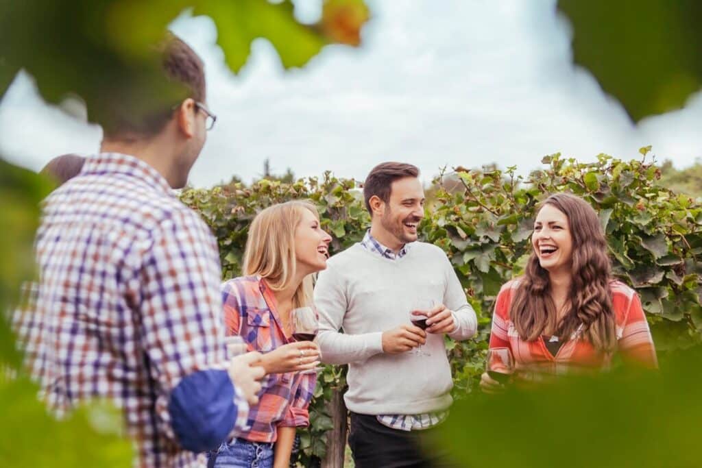 San Diego Wine Tasting Tour Transportation Packages​